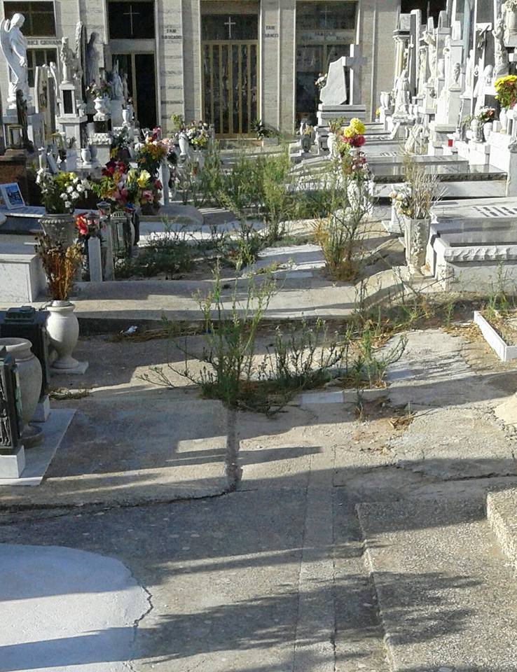 Cimitero di Castelvetrano in uno stato di totale abbandono