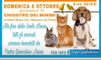 Benedizione degli animali, domenica a Castelvetrano