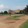 Oggi il Parco Archeologico di Selinunte si visita gratis! 1