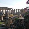 Oggi il Parco Archeologico di Selinunte si visita gratis! 2