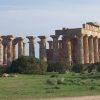 Oggi il Parco Archeologico di Selinunte si visita gratis! 4
