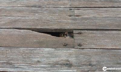 Pericolose buche nella piazza in legno a Marinella di Selinunte 5