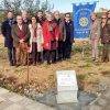"RotaryTree Planting", una nuova pianta per ogni socio del Rotary Club di Castelvetrano Valle del Belice