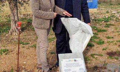 "RotaryTree Planting", una nuova pianta per ogni socio del Rotary Club di Castelvetrano Valle del Belice 1
