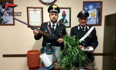 Castelvetrano: arrestato 39enne castelvetranese per coltivazione e detenzione di droga