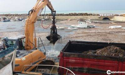 Porto di Marinella di Selinunte: Al via i lavori di rimozione della posidonia 2