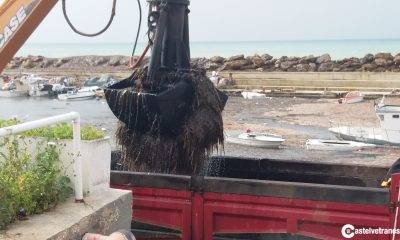 Porto di Marinella di Selinunte: Al via i lavori di rimozione della posidonia 3