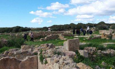 Visita all’Acropoli di Selinunte 5