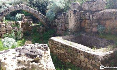 Gruppo Archeologico Selinunte, passeggiata e visita dell'area di Malophoros 8