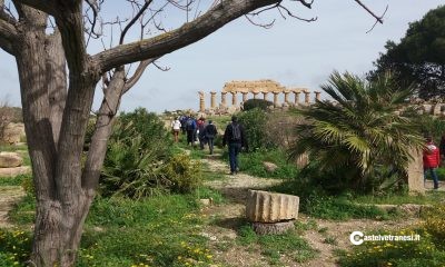 Gruppo Archeologico Selinunte, visita dell'area di Malophoros