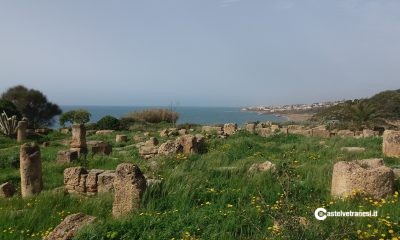 Gruppo Archeologico Selinunte, visita dell'area di Malophoros 3
