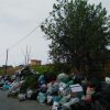 Pietro Errante: "Passeggiando tra i rifiuti di Triscina e Selinunte" e le speranze di cambiamento 1