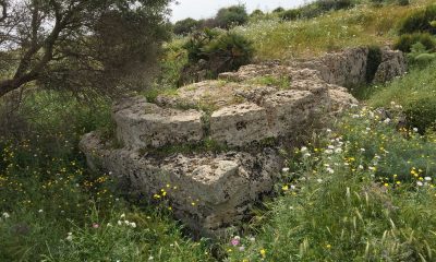 Gruppo Archeologico Selinunte: Visita alle Cave di Cusa 4