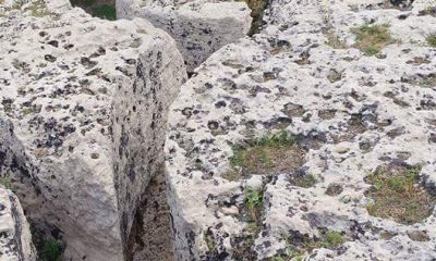 Gruppo Archeologico Selinunte: Visita alle Cave di Cusa 6