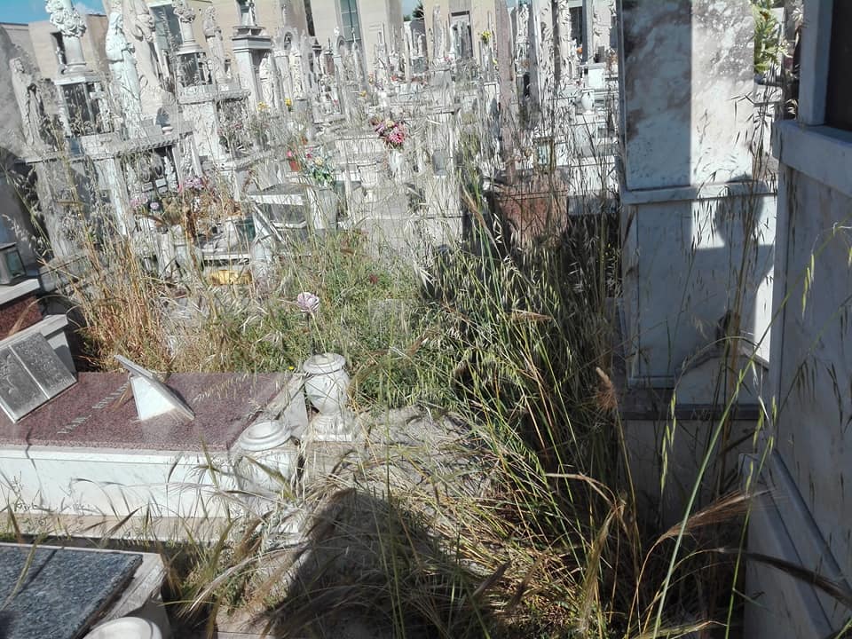 Il cimitero di Castelvetrano "sepolto" dalle erbacce