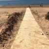 In corso le opere di posizionamento delle passerelle per l’accesso dei diversamente abili alla spiaggia di Tre Fontane