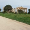 La storia di Selinunte raccontata attraverso un Musical ai piedi dei templi del Parco Archeologico 1