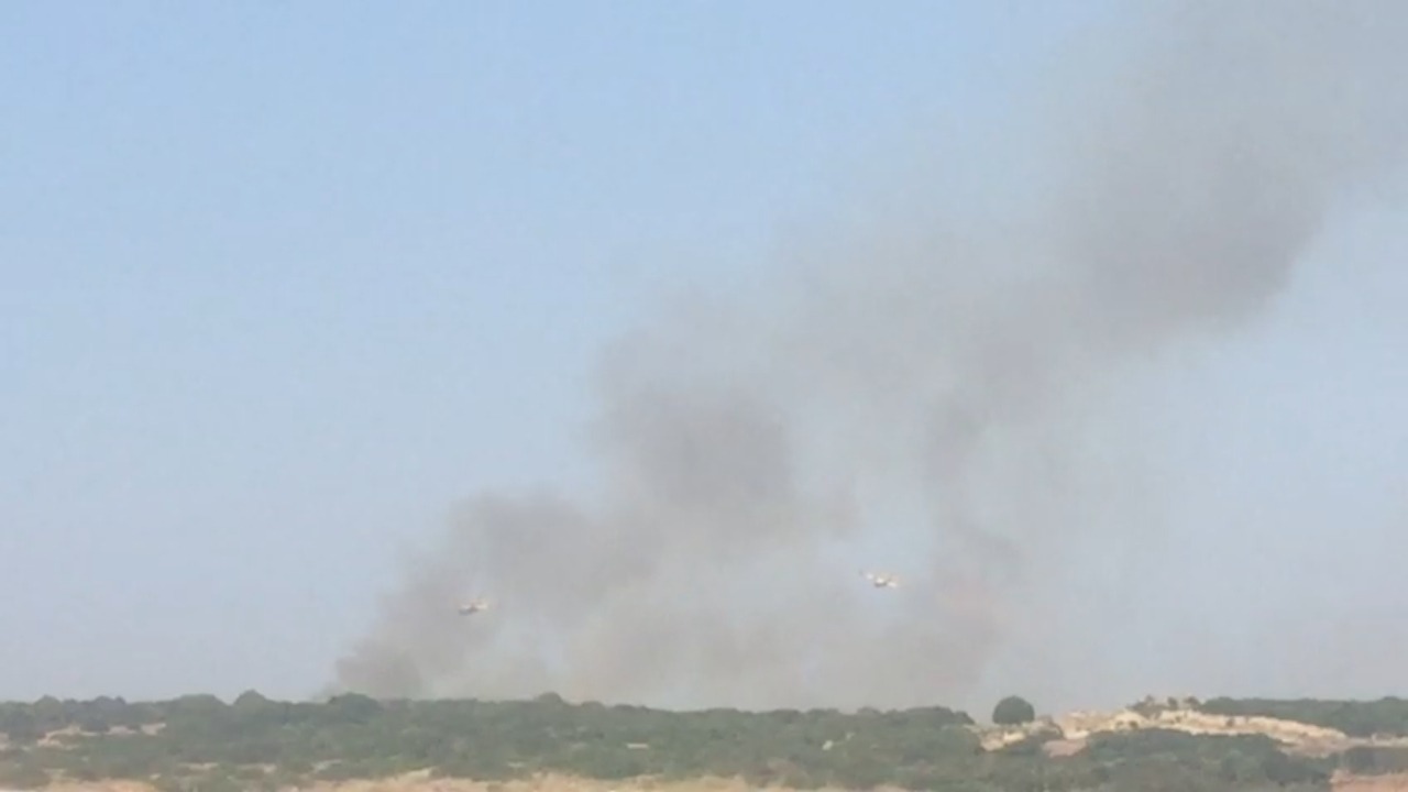 Incendio a Selinunte, Codiciambiente: "Un danno enorme al paesaggio" 1