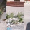 Castelvetrano, "strisce pedonali fantasma" e degrado nei pressi delle scuole 9