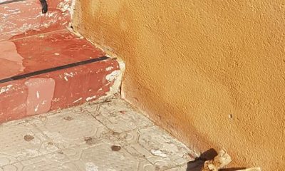 Castelvetrano, "strisce pedonali fantasma" e degrado nei pressi delle scuole 7