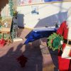 Natale 2018 Natale a Triscina progetto triscina Triscina 1