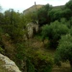 Visita guidata Baglio Amari-Cusa e delle cave Latomie-Barone 4